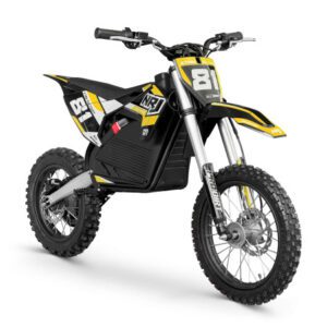 Dirt Bike 2000W